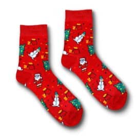 Kalėdinių Kojinių Mišinys (V) | 10 Porų [40-46]