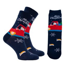 Kalėdinių Kojinių Dėžutė (V) | 7 Poros [40-46]